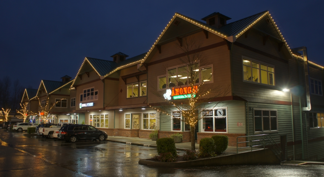 Holiday Trim Lights: All Year Option? Holiday Trim Lights: All Year Option?