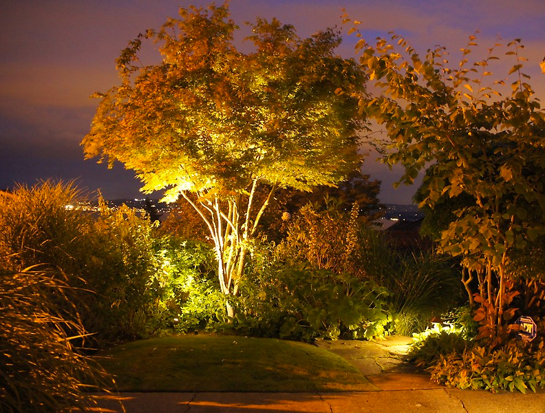 Fall 2017 Lighting Event Fall 2017 Lighting Event