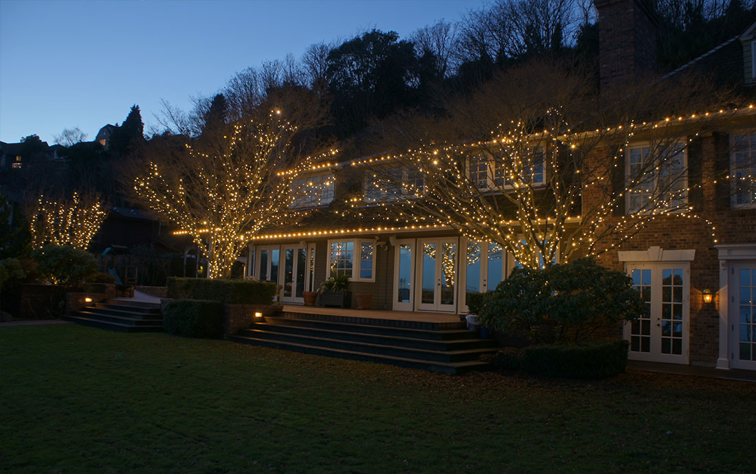FREE LIGHTING CONSULTATION
