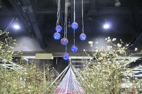 northwest-flower-garden-show-silver-2 northwest-flower-garden-show-silver-2