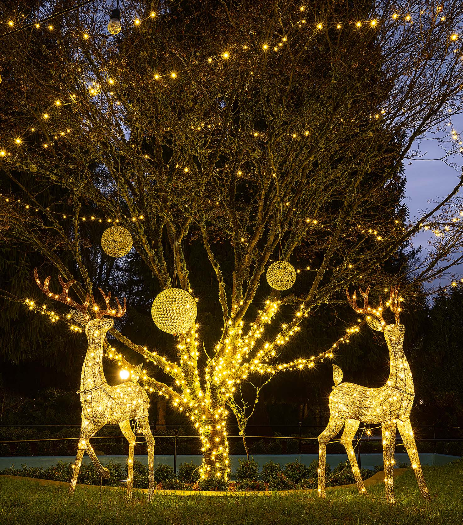Festive night scene with glowing deer sculptures wrapped in warm string lights under a tree centerpiece and hanging orbs.