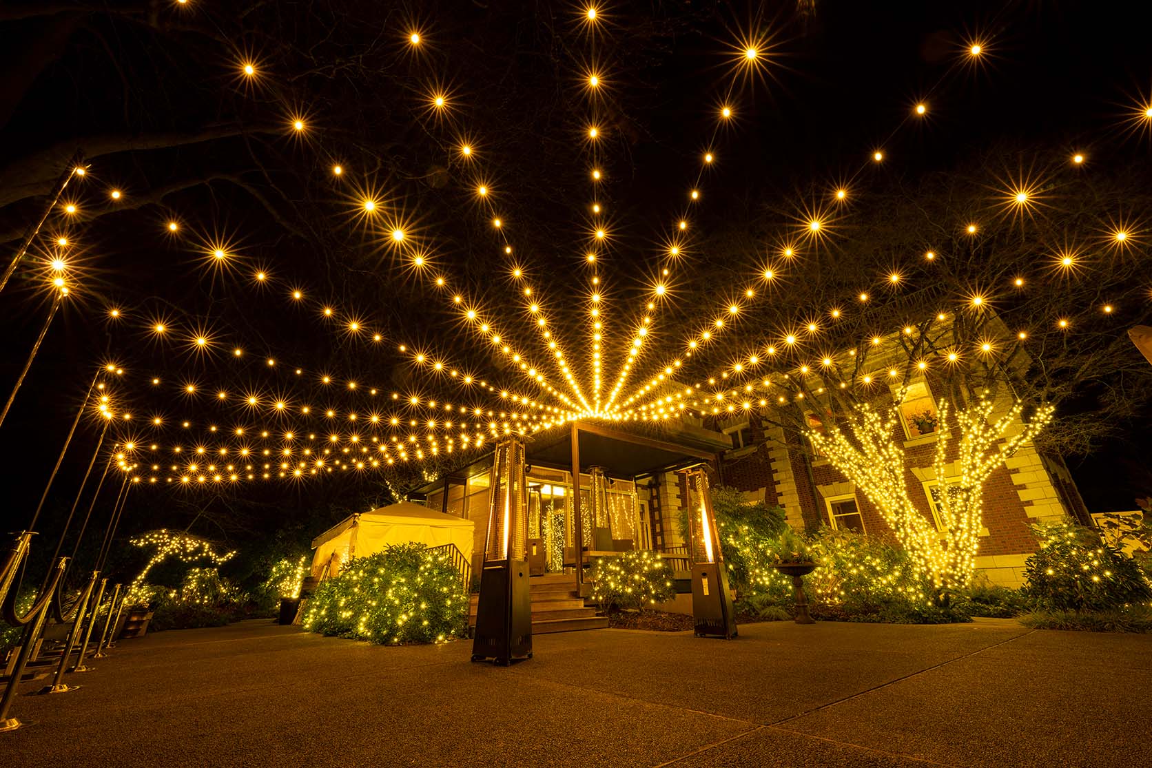 Night scene of an entrance under a canopy of warm string lights radiating from a central point, with trees wrapped in lights around the doorway at night.