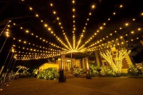 Portfolio landscape string lights best sale