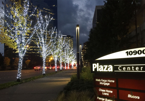 Britescape Expert Landscape Lighting In Seattle Bellevue Britescape Expert Landscape Lighting In Seattle Bellevue