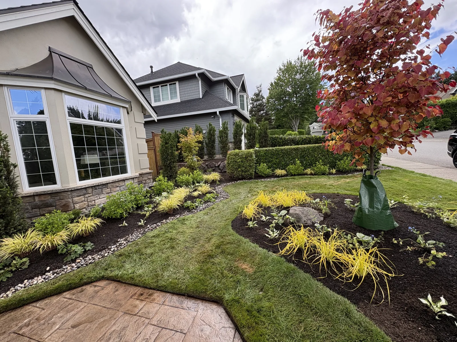 Completed Britescape garden with fresh planting, lawn and a curved stone border beside a home